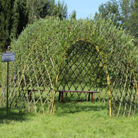 Image d'illustration pour : Cabanes en osier vivant